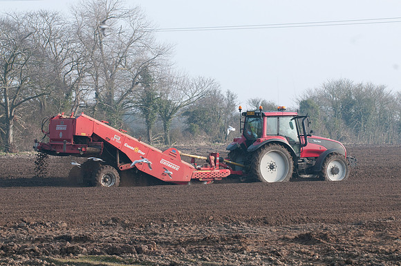 De-stoning a field prior to planting potatoes