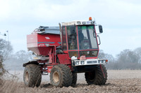 Spreading lime on a field prior to planting