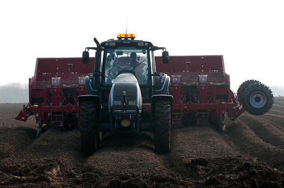 De-stoning a field prior to planting potatoes