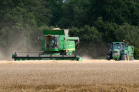 John Deere Combine harvester 9780i cts. Harvesting wheat