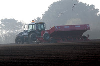 De-stoning a field prior to planting potatoes