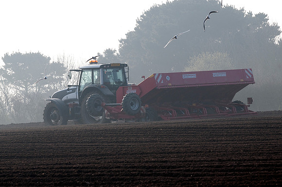 De-stoning a field prior to planting potatoes