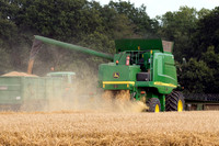 John Deere Combine harvester 9780i cts Harvesting wheat