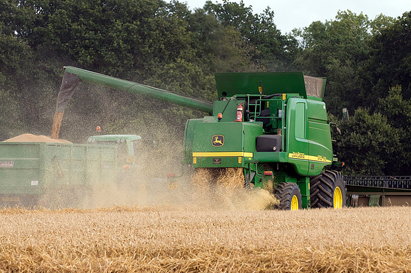 John Deere Combine harvester 9780i cts Harvesting wheat