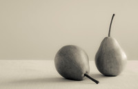 Pyrus communis "William"