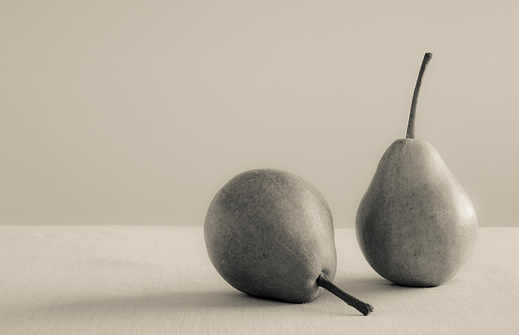 Pyrus communis "William"