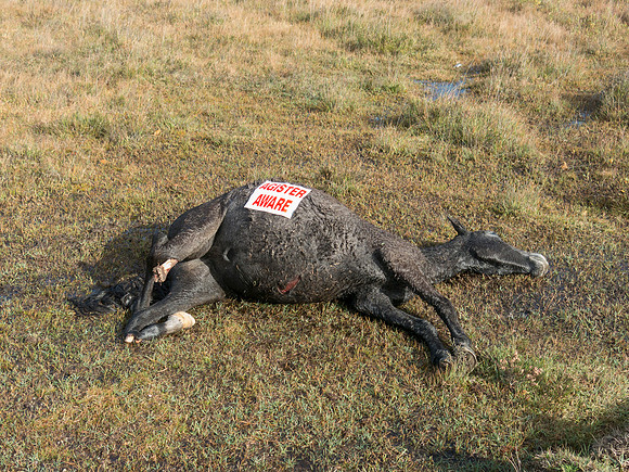 A victim