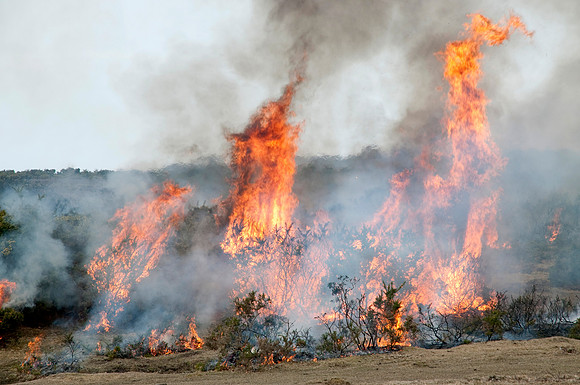 Controlled Burning