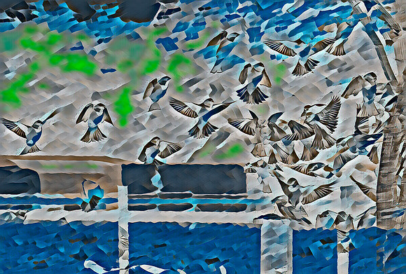 Sparrows 2